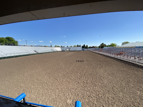 Arena Improvement Project logo