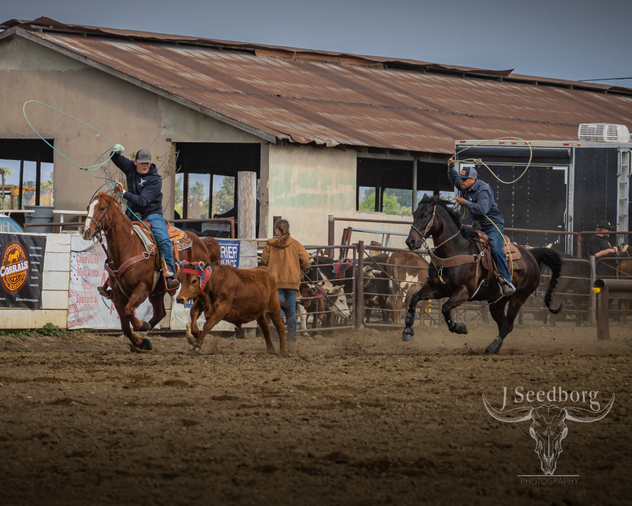 https://cfimages.rodeoticket.com/event-resource-photo/jseedborg-photography-event-resource-photo-0.png?v=1743537115