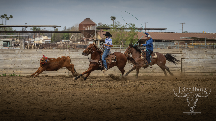 https://cfimages.rodeoticket.com/event-resource-photo/jseedborg-photography-event-resource-photo-2.png?v=1743537115