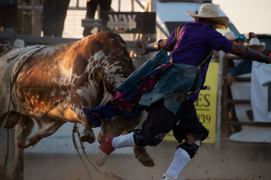 https://cfimages.rodeoticket.com/event-resource-photo/nigel-harvey-event-resource-photo-1.png?v=1606847635