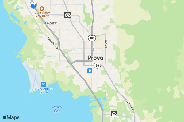 Google Pay Demo Rodeo location map image