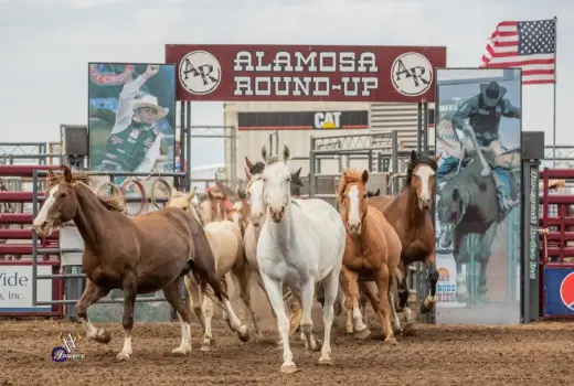 images.rodeoticket.com/infopages/alamosa-round-up-infopages-12578.webp