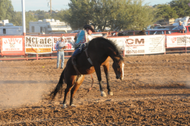 images.rodeoticket.com/infopages/benson-butterfield-rodeo-infopages-12465.png