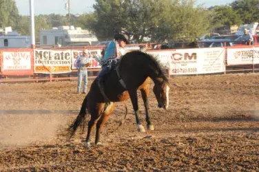 images.rodeoticket.com/infopages/benson-butterfield-rodeo-infopages-12465.webp