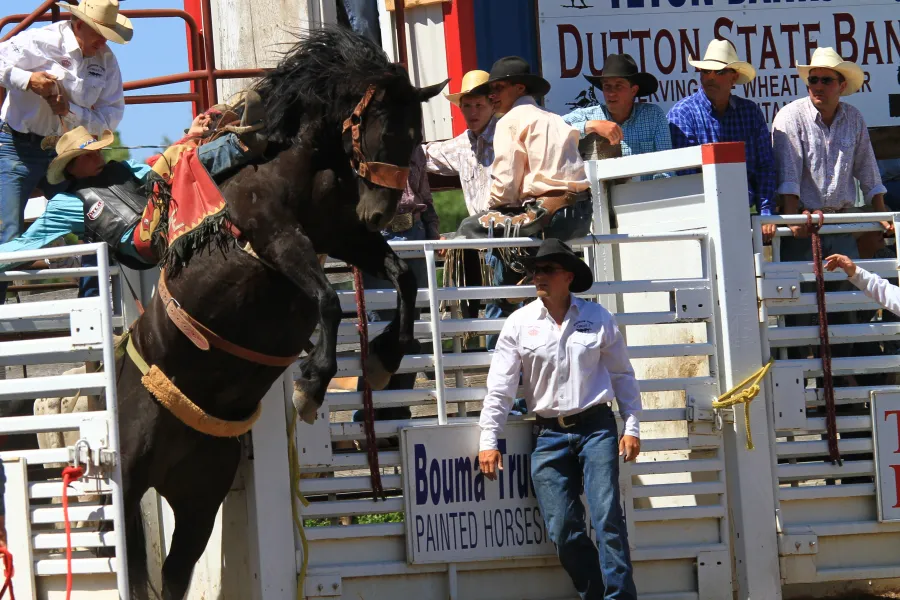 images.rodeoticket.com/infopages/choteau-american-legion-independence-day-rodeo-infopages-12581.webp