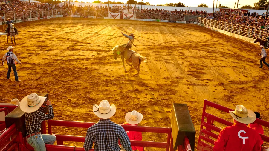 Cowtown Rodeo - 10/04/2025 - Rodeo Information