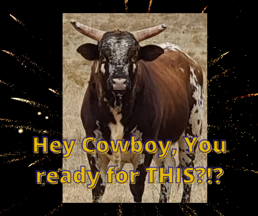 images.rodeoticket.com/infopages/cruc-rodeo-infopages-12615.png