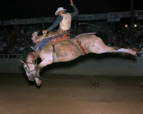 images.rodeoticket.com/infopages/golden-spike-rodeo-infopages-12534.webp