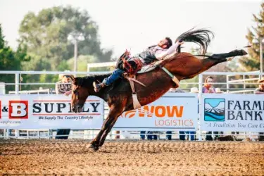 images.rodeoticket.com/infopages/jerome-county-fair-rodeo-infopages-12494.webp