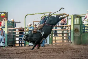 images.rodeoticket.com/infopages/laramie-jubilee-days-infopages-12480.webp