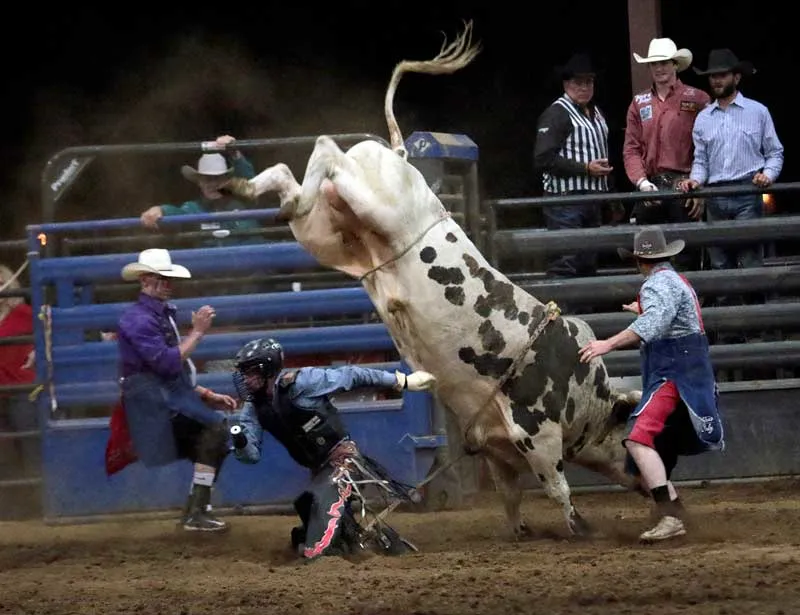 images.rodeoticket.com/infopages/llano-x-treme-bullriding-infopages-12529.webp