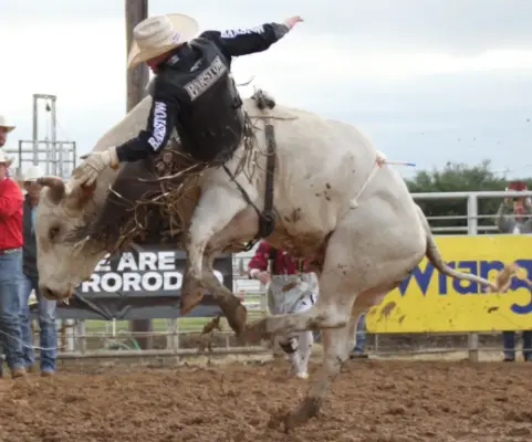 images.rodeoticket.com/infopages/mineral-wells-prca-rodeo-may-2-4-infopages-12614.webp
