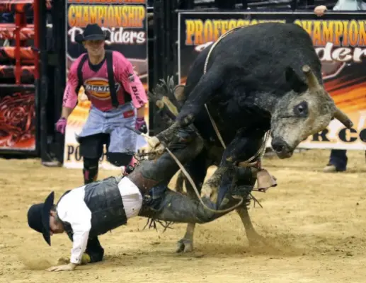 images.rodeoticket.com/infopages/professional-championship-bull-riders-walworth-infopages-12589.webp