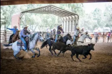images.rodeoticket.com/infopages/ranchers-day-rodeo-infopages-12477.webp