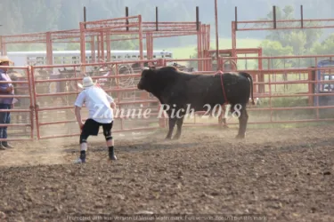 images.rodeoticket.com/infopages/ride-a-horse-feed-a-cowboy-infopages-12470.webp