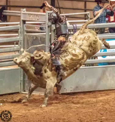 images.rodeoticket.com/infopages/roots-n-boots-queen-creek-pro-rodeo-infopages-12697.webp
