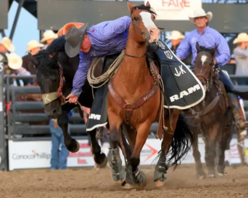 images.rodeoticket.com/infopages/roughrider-days-rodeo-infopages-12488.webp