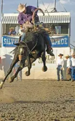 images.rodeoticket.com/infopages/shelby-county-cattlemens-rodeo-infopages-12487.webp
