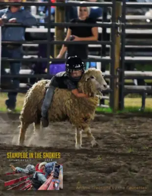 images.rodeoticket.com/infopages/stampede-in-the-smokies-infopages-12732.webp