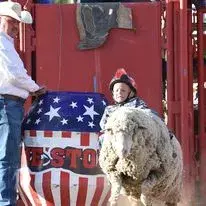 images.rodeoticket.com/infopages/tooele-bit-n-spur-rodeos-infopages-12636.webp