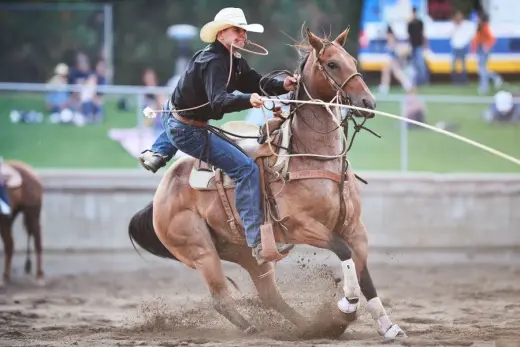 images.rodeoticket.com/infopages/truckee-professional-rodeo-infopages-12492.webp