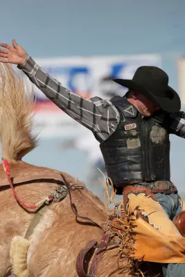 images.rodeoticket.com/infopages/yuma-silver-spur-rodeo-infopages-12693.webp