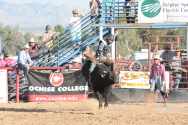 David Butterfield Rodeo Benson Butterfield Rodeo - 10/26/2026 - Rodeo Information