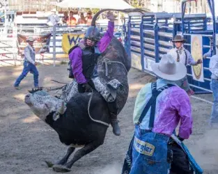 images.rodeoticket.com/infopages1/gold-country-pro-rodeo-infopages1-12466.webp
