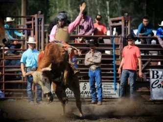 images.rodeoticket.com/infopages1/lacombe-pro-bull-riding-infopages1-12496.webp