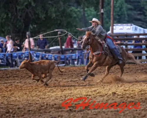 images.rodeoticket.com/infopages1/marion-rodeo-infopages1-12514.webp