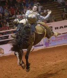 images.rodeoticket.com/infopages1/nacogdoches-pro-rodeo-and-steer-show-infopages1-12478.webp