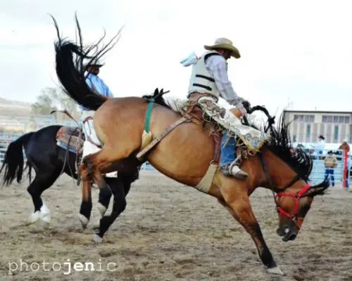 images.rodeoticket.com/infopages1/overland-stage-stampede-rodeo-infopages1-12495.webp