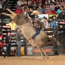 images.rodeoticket.com/infopages1/professional-championship-bull-riders-walworth-infopages1-12589.webp