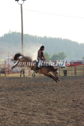 images.rodeoticket.com/infopages1/ride-a-horse-feed-a-cowboy-infopages1-12470.png
