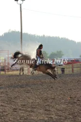 images.rodeoticket.com/infopages1/ride-a-horse-feed-a-cowboy-infopages1-12470.webp