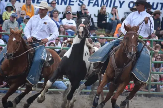 images.rodeoticket.com/infopages1/sedro-woolley-rodeo-infopages1-12716.webp