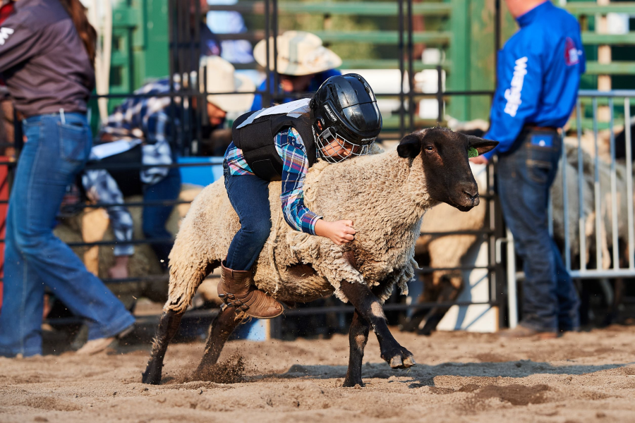 images.rodeoticket.com/infopages1/truckee-professional-rodeo-infopages1-12492.png