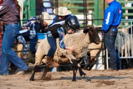 images.rodeoticket.com/infopages1/truckee-professional-rodeo-infopages1-12492.webp