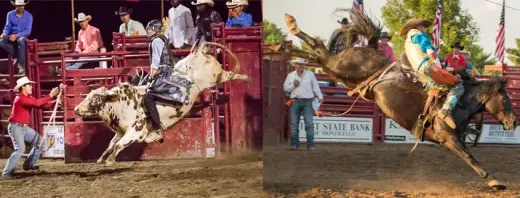 images.rodeoticket.com/infopages2/68th-piatt-county-trail-blazers-rodeo-infopages2-12609.webp