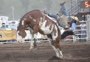 images.rodeoticket.com/infopages2/buckin-on-the-prairie-infopages2-12490.webp