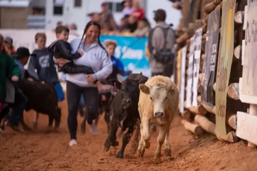 images.rodeoticket.com/infopages2/daggett-county-centennial-prca-rodeo-infopages2-12556.webp