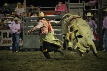 images.rodeoticket.com/infopages2/flint-hills-rodeo-infopages2-12501.webp