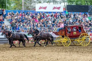 images.rodeoticket.com/infopages2/gold-country-pro-rodeo-infopages2-12466.webp