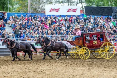 images.rodeoticket.com/infopages2/gold-country-pro-rodeo-infopages2-12466.webp