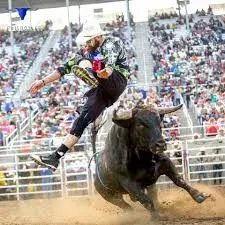 images.rodeoticket.com/infopages2/kansas-biggest-rodeo-infopages2-12584.webp