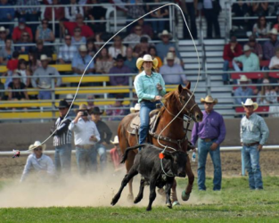 images.rodeoticket.com/infopages2/lazy-v-105-infopages2-12474.png