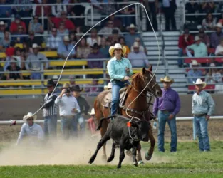 images.rodeoticket.com/infopages2/lazy-v-105-infopages2-12474.webp