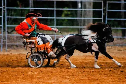 images.rodeoticket.com/infopages2/marion-rodeo-infopages2-12514.webp
