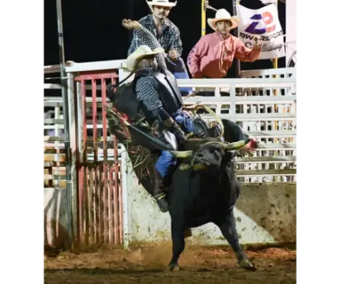 images.rodeoticket.com/infopages2/mid-south-wildest-infopages2-12829.webp