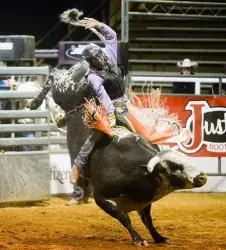 images.rodeoticket.com/infopages2/nacogdoches-pro-rodeo-and-steer-show-infopages2-12478.webp